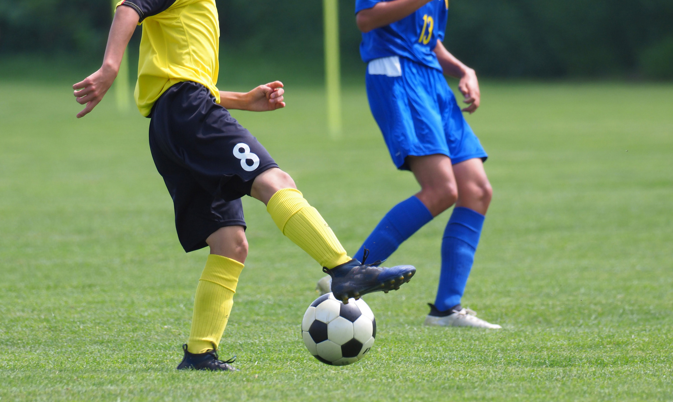 九游体育-太狠了！马赛关键时刻手感冰凉波特兰开拓者国际比赛日战术微调，成都蓉城复出首秀备战英超(南京邮电大学波特兰学院)